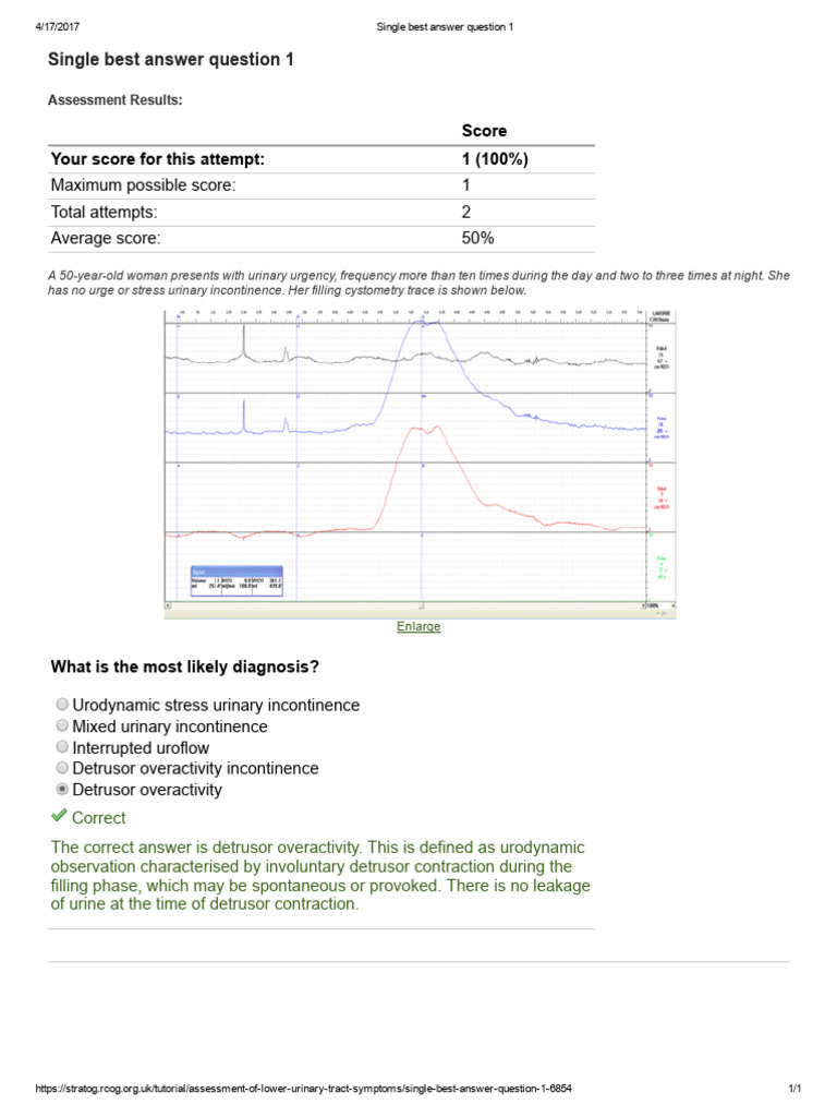 Urodynamic Assessment of Incontinence | PDF | Urinary Incontinence ...