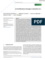 Agronomy Journal - 2020 - Zancanaro de Oliveira - Long‐term phosphate fertilization strategies evaluation in a Brazilian