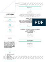 Esteban Camilo Leiva Romero CV Template