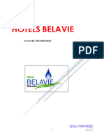 Analyse Strategique Hotels Belavie
