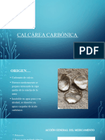 Presentacion Expo Calcarea Carbonica