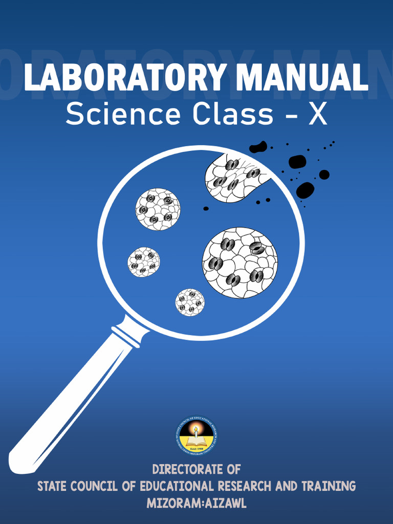Laboratory Manual Science Class X PDF Mirror Zinc
