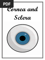 Cornea and Sclera