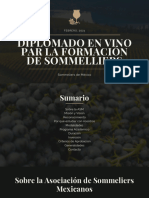 Sdiplomado en Vino Par La Formación de Sommelliers