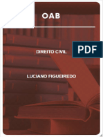 Aula 01 - Luciano Figueiredo