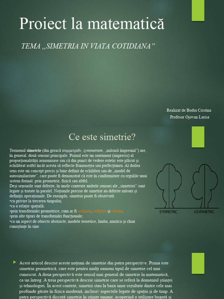 Proiect La Matematică | PDF