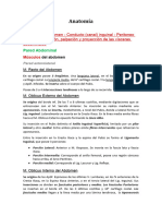 Paredes Del Abdomen - Conducto (Canal) Inguinal - Peritoneo General - Ubicación, Palpación y Proyección de Las Vísceras Abdominales