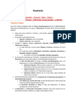 Abdomen Inframesocólico - Yeyuno - Íleon - Colon - Retroperitoneo - Riñones - Glándulas Suprarrenales - Uréteres