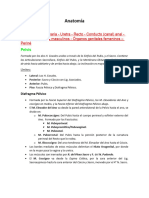 Pelvis - Vejiga Urinaria - Uretra - Recto - Conducto (Canal) Anal - Órganos Genitales Masculinos - Órganos Genitales Femeninos - Periné