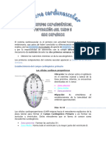 Sem 14-Campos Cardiogénicos y Formación de La Asa Cardiaca