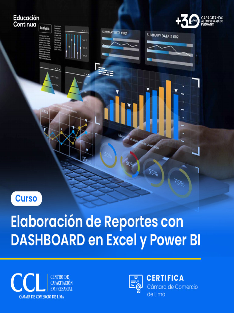 Reportes Dashboard en Excel y Power BI | PDF | Microsoft Excel | Marketing