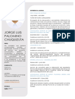 CV JorgePalomino