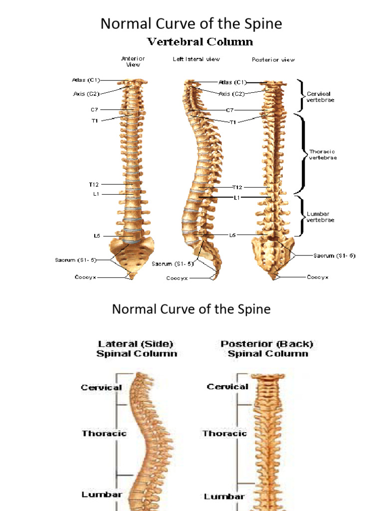 Share 'DEFORMITIES - PPTX' | PDF | Scoliosis | Foot