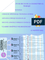 Cuadro Sinoptico Neurociencias