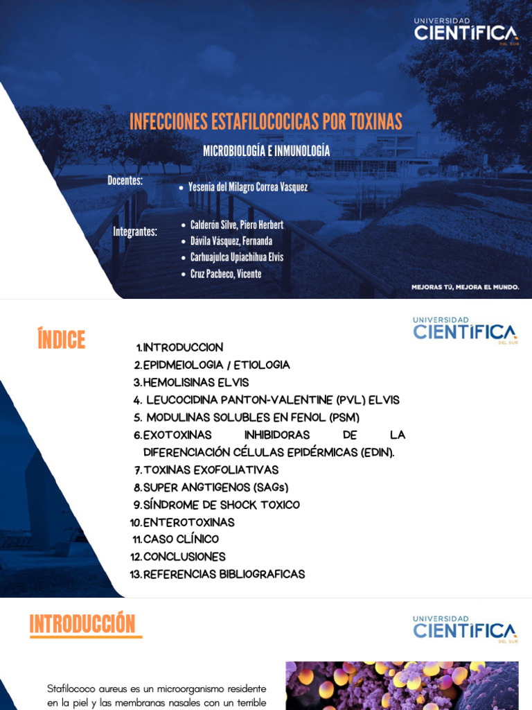 Infecciones Estafilococicas Por Toxinas | PDF | Escherichia coli ...