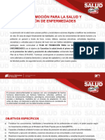 1 Plan de Promoción de Salud y Prevención de Enfermedades 2024