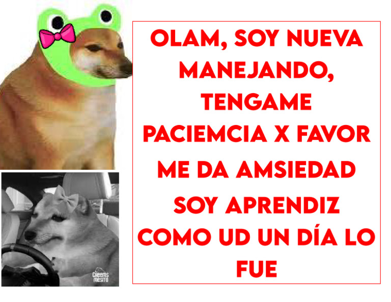 Cheems | PDF
