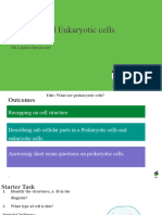 Prokaryotic and Eukaryotic Cells - Presentation