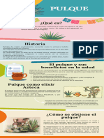 Infografía Pulque