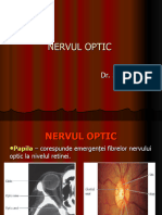 Curs 10 NERV OPTIC MG