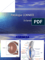 Curs 4 CORNEEA