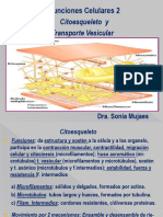 UNIDAD II. F. Celulares. Citoesqueleto y Transporte Vesicular 2023