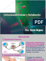 Unidad IV. Señalización 2023-1