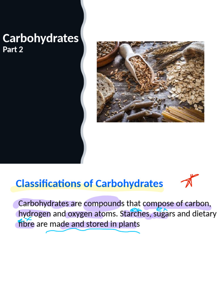 Carbohydrate intelligence overview