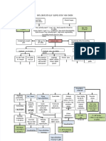 PDF Woc Trauma Dada Dwi