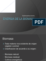 Energia de La Biomasa