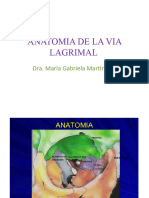 Anatomia de La Via Lagrimal Dra Martinez