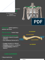 Diapos Claviculas