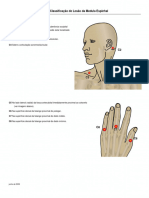 Key Sensory Points