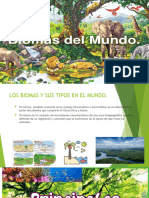 Presentación Naturaleza Pura