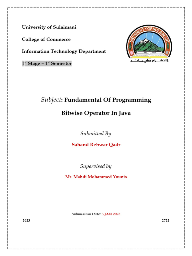 Java pdf boolean data type bit