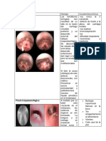 Correlaciones Clinicas PDF