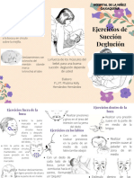 Ejercicios de Succiónn-Deglución