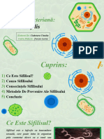 Sifilis Biologie