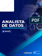 Brochure Pee Analista de Datos