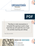 Repaso Neuroanatomía NEUROSCIENCE