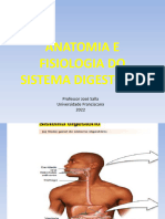 Anatomia e Fisiologia Do Sistema Digestório