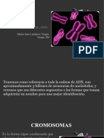 Exposición Biología Tercer Cuatrimestre