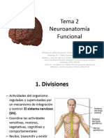 Tema 2 Neuroanatomia Funcional 1