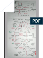 Whole Body Blood Supply