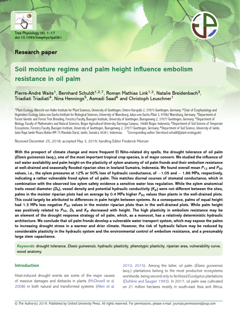 Waite Et Al Hydraulic Properties of Oilpalm Download Free PDF Plant