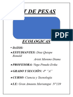 Kit de Pesas Ecologicas
