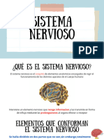 Sistema Nervioso