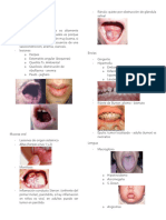 Resumen Gastroenterología