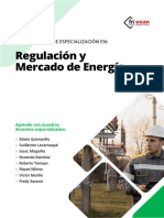 Regulación y Mercado de Energía: Diploma