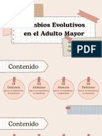 (Presentacion)Examen Primer Parcial Adulto Mayor - Sanchez,Rocha,Manzano-comprimido